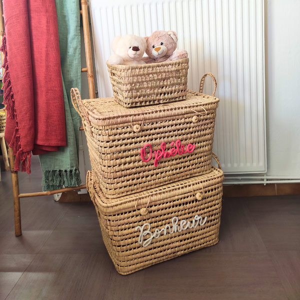 Coffre de Rangement Personnalisable